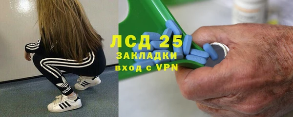 эйфоретик Горняк