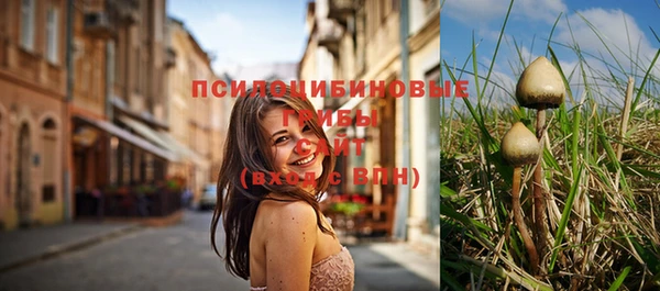 мет Магас